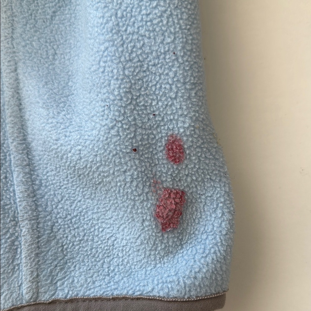 The North Face Sky Blue Fleece Jacket - Picture 6 of 7